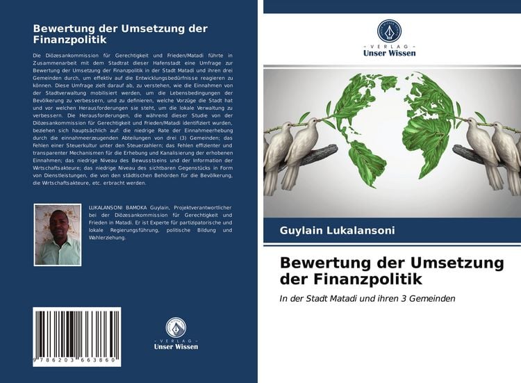 Produktbild: Bewertung der Umsetzung der Finanzpolitik