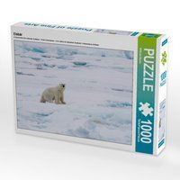Produktbild: CALVENDO Puzzle Eisb&auml;r 1000 Teile Lege-Gr&ouml;&szlig;e 64 x 48 cm Foto-Puzzle Bild von Wilfried Martin
