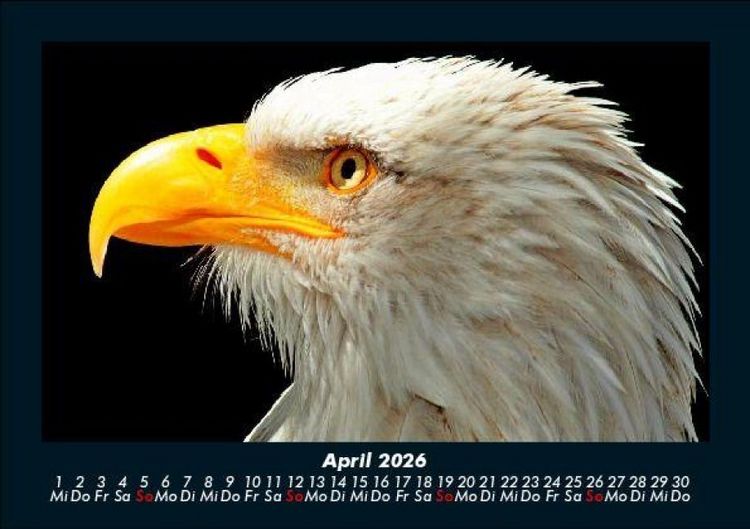 Produktbild: Adler 2026 Fotokalender DIN A5