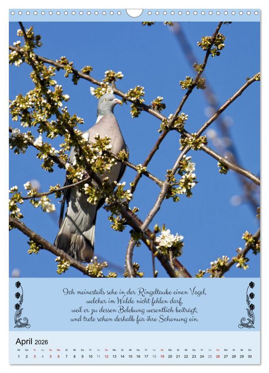 Produktbild: Buntes Tierleben (Wandkalender 2026 DIN A3 hoch), CALVENDO Monatskalender
