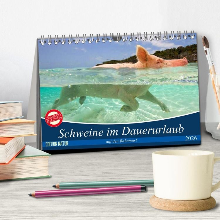 Produktbild: Schweine im Dauerurlaub auf den Bahamas! (Tischkalender 2026 DIN A5 quer), CALVENDO Monatskalender