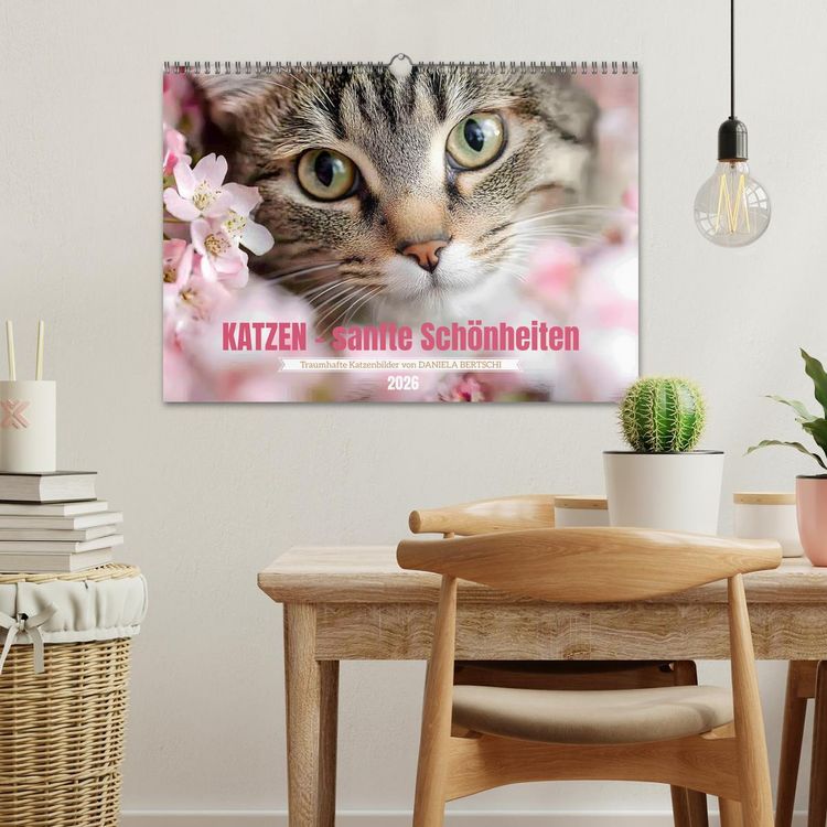 Produktbild: Katzen - sanfte Sch&ouml;nheiten (Wandkalender 2026 DIN A3 quer), CALVENDO Monatskalender