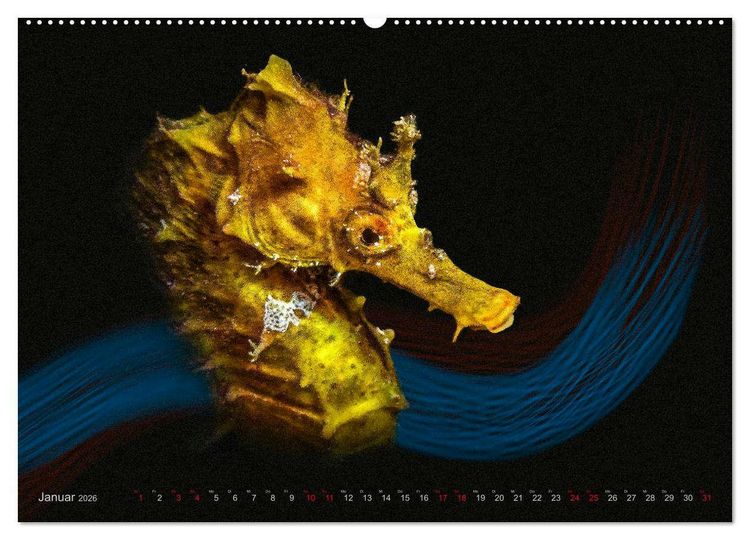 Produktbild: Artwork Unterwasser - Erlebnis Tauchen (hochwertiger Premium Wandkalender 2026 DIN A2 quer), Kunstdruck in Hochglanz