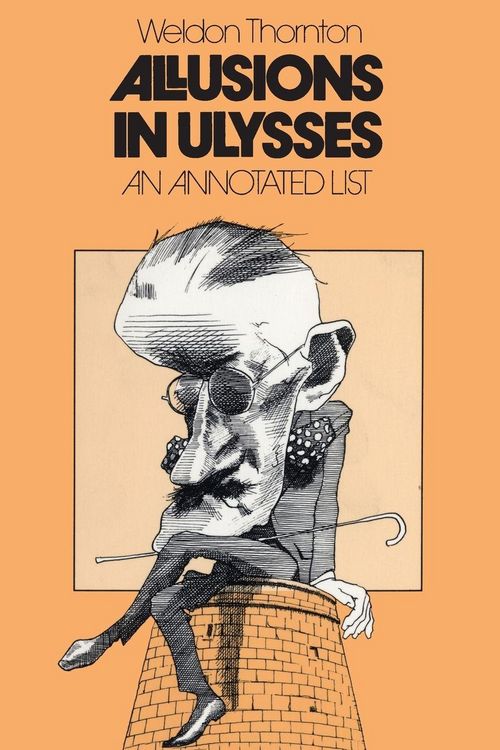 Produktbild: Allusions in Ulysses