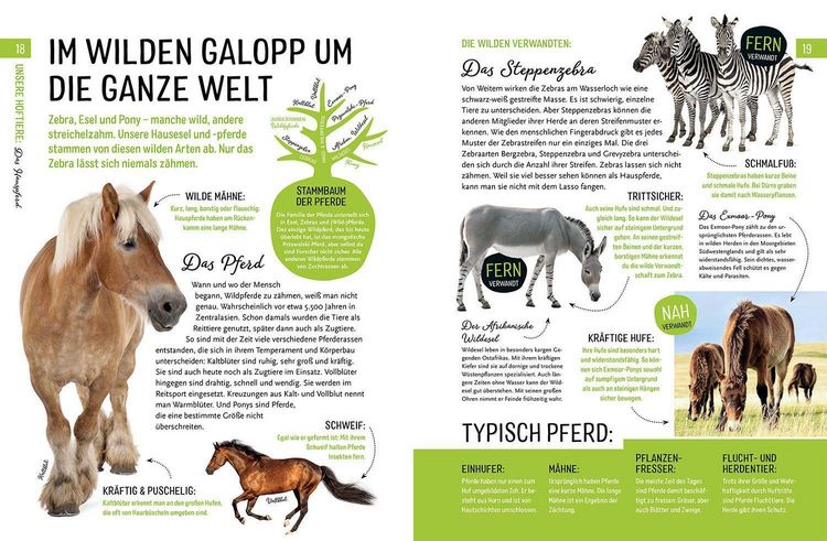Produktbild: Heimische Tiere und ihre wilden Verwandten