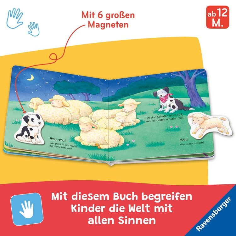 Produktbild: Mein erstes Magnetbuch - Wer spielt mit wem? Bauernhoftiere
