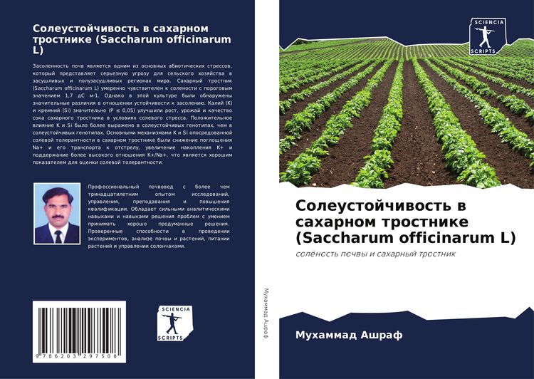 Produktbild: Soleustojchiwost' w saharnom trostnike (Saccharum officinarum L)