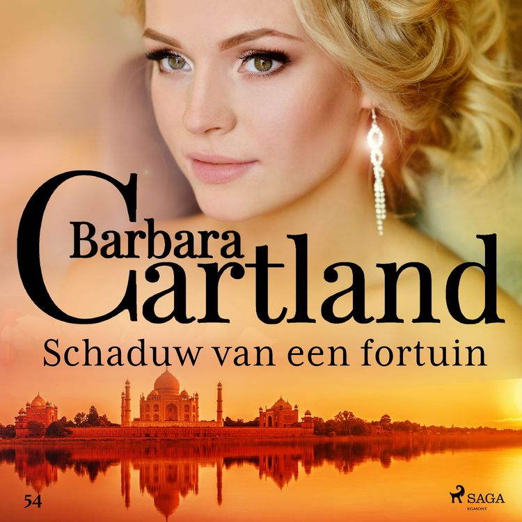 Produktbild: Schaduw van een fortuin
