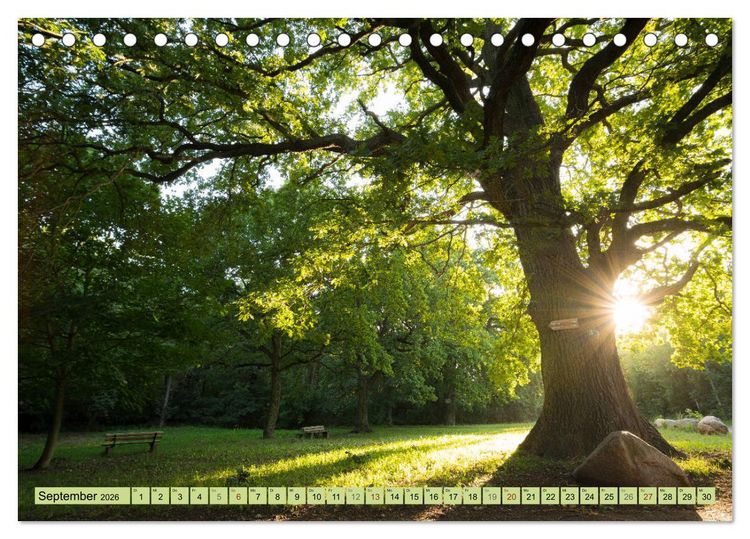 Produktbild: Gr&uuml;nes Halle/Saale - Meine wilde H&auml;ndelstadt (Tischkalender 2026 DIN A5 quer), CALVENDO Monatskalender