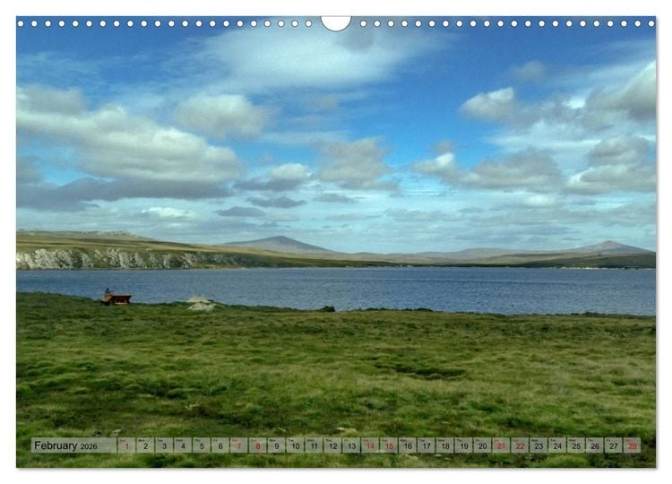 Produktbild: In the Falkland Islands (Wall Calendar 2026 DIN A3 landscape), CALVENDO 12 Month Wall Calendar