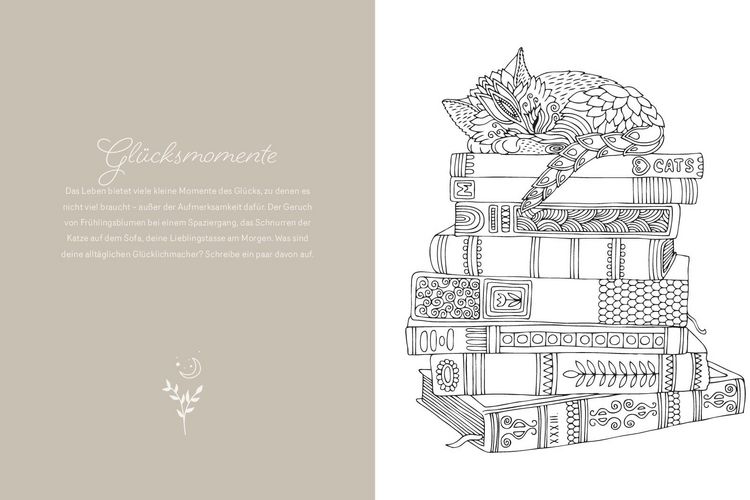 Produktbild: Magic Dreams | Ausmalen & loslassen