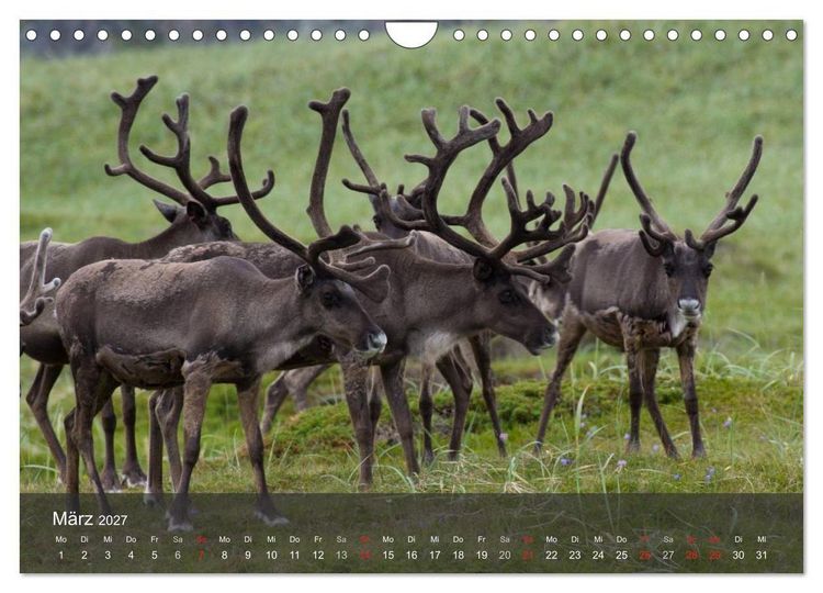 Produktbild: Lappland 2027 (Wandkalender 2027 DIN A4 quer), CALVENDO Monatskalender