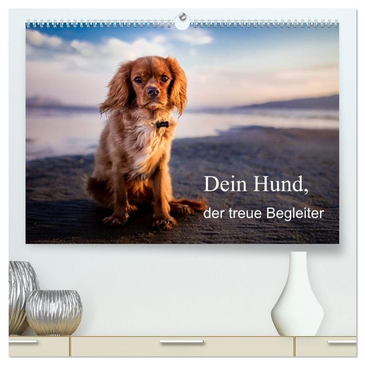 Produktbild: Dein Hund der treue Begleiter (hochwertiger Premium Wandkalender 2026 DIN A2 quer), Kunstdruck in Hochglanz