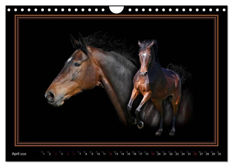 Produktbild: Traumpferde-ART-Collection (Wandkalender 2026 DIN A4 quer), CALVENDO Monatskalender