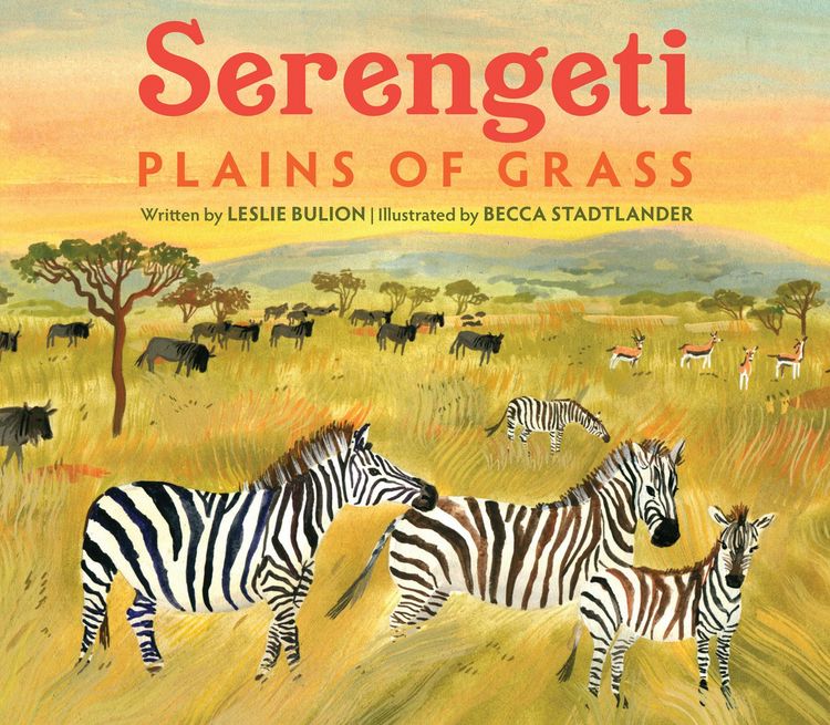 Produktbild: Serengeti