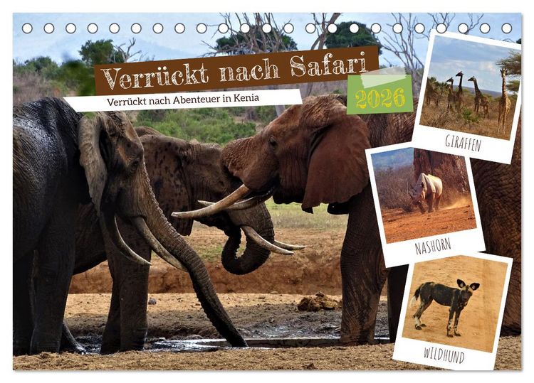 Produktbild: Verr&uuml;ckt nach Safari Verr&uuml;ckt nach Abenteuer in Kenia (Tischkalender 2026 DIN A5 quer), CALVENDO Monatskalender