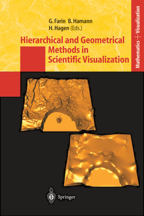 Produktbild: Hierarchical and Geometrical Methods in Scientific Visualization