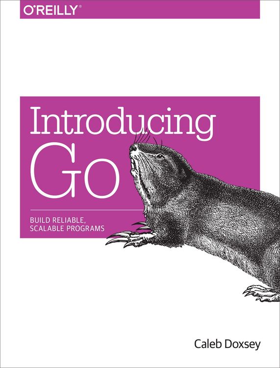 Produktbild: Introducing Go