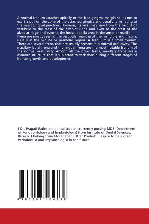 Produktbild: Frenum: An Overview