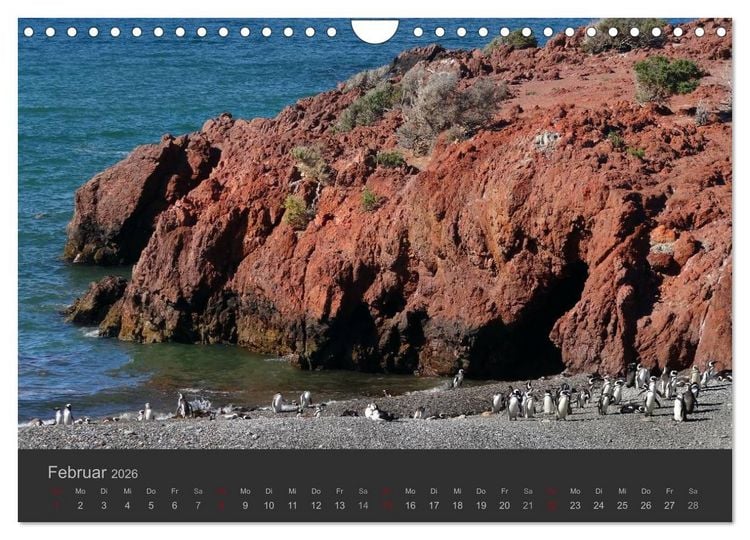 Produktbild: Von Iguaz&uacute; bis Ushuaia - vom Regenwald bis Feuerland (Wandkalender 2026 DIN A4 quer), CALVENDO Monatskalender