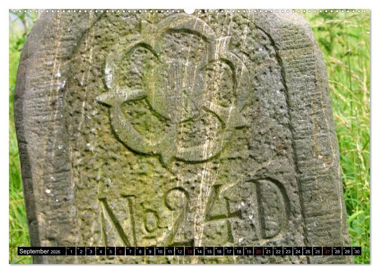 Produktbild: Lippische Rosen (hochwertiger Premium Wandkalender 2026 DIN A2 quer), Kunstdruck in Hochglanz