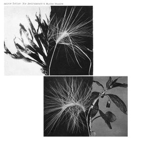Produktbild: New Environments & Rhythm Studies
