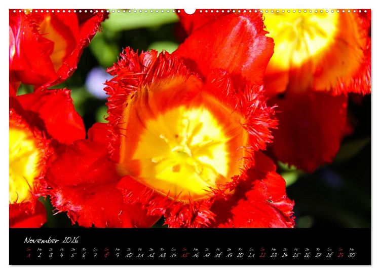 Produktbild: Butchart Gardens 2026 (hochwertiger Premium Wandkalender 2026 DIN A2 quer), Kunstdruck in Hochglanz