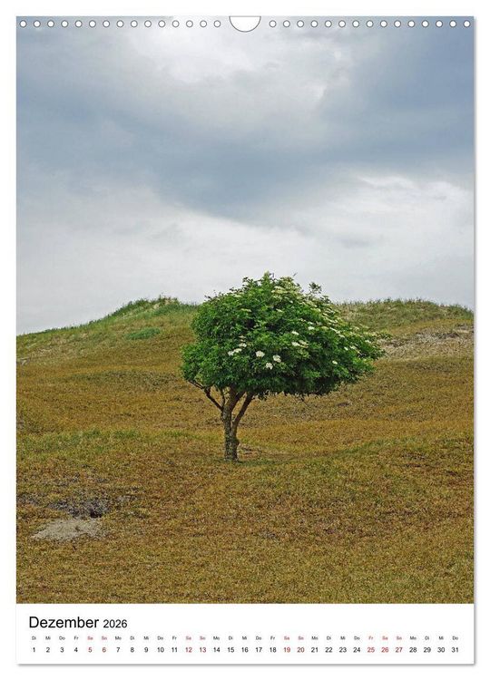 Produktbild: Norderney - Inselliebe (Wandkalender 2026 DIN A3 hoch), CALVENDO Monatskalender