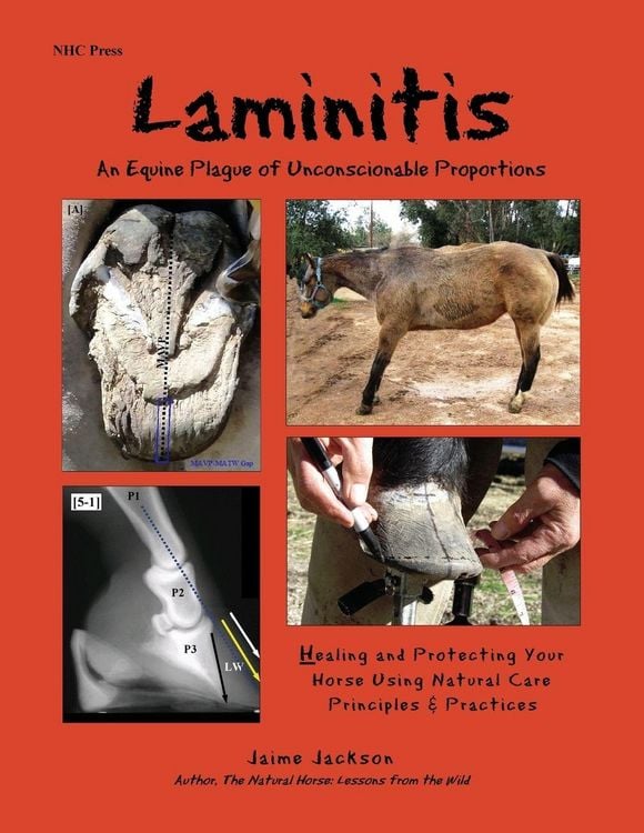 Produktbild: Laminitis