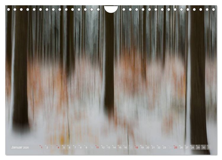 Produktbild: Atelier Wald - gemalt mit Licht (Wandkalender 2026 DIN A4 quer), CALVENDO Monatskalender