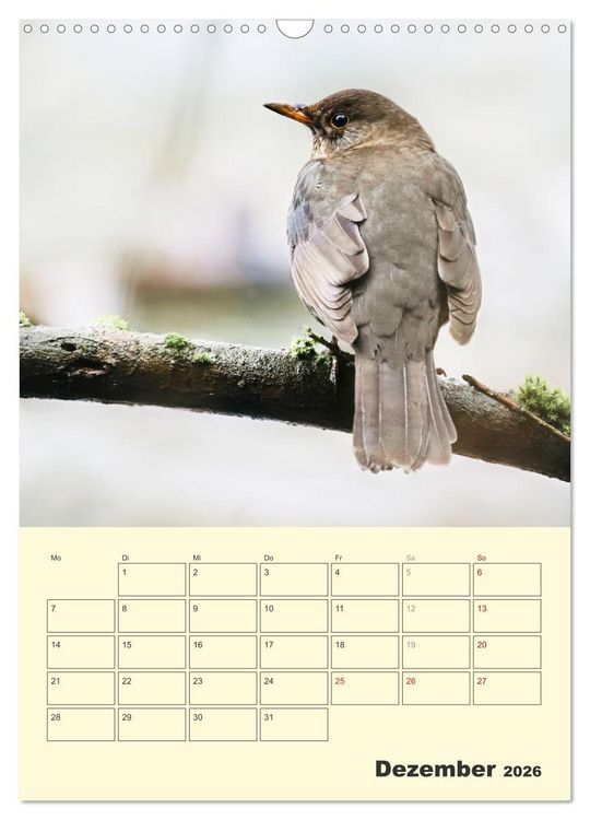 Produktbild: Vogelwelt an der Sieg (Wandkalender 2026 DIN A3 hoch), CALVENDO Monatskalender