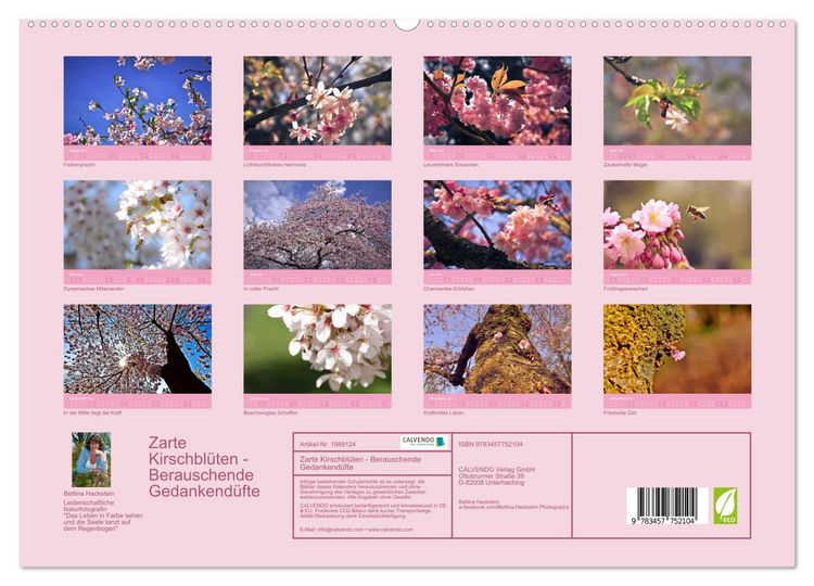 Produktbild: Zarte Kirschbl&uuml;ten - Berauschende Gedankend&uuml;fte (hochwertiger Premium Wandkalender 2026 DIN A2 quer), Kunstdruck in Hochglanz