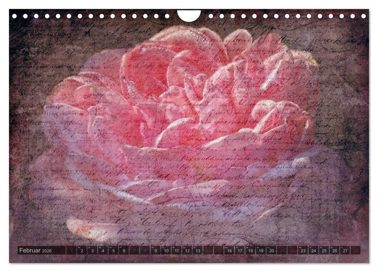 Produktbild: Gothic Rose - Rosen aus dem Garten der Finsternis (Wandkalender 2026 DIN A4 quer), CALVENDO Monatskalender
