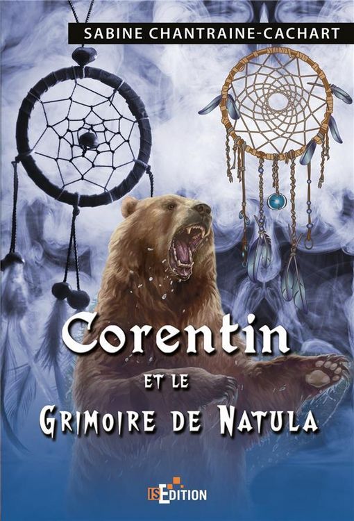 Produktbild: Corentin et le grimoire de natula