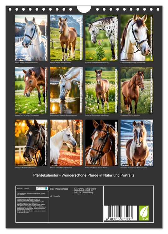 Produktbild: Pferdekalender - Wundersch&ouml;ne Pferde in Natur und Portraits (Wandkalender 2026 DIN A4 hoch), CALVENDO Monatskalender