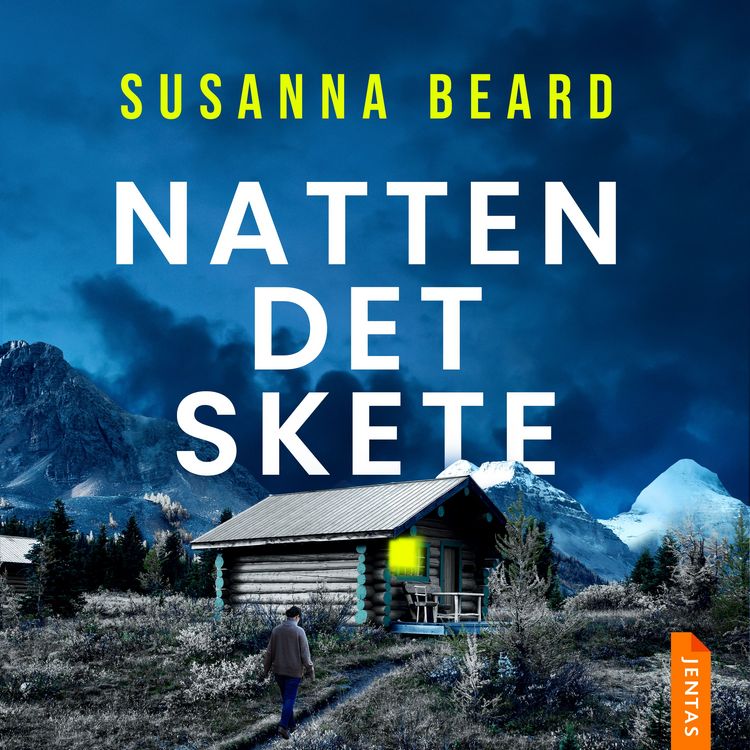 Produktbild: Natten det skete