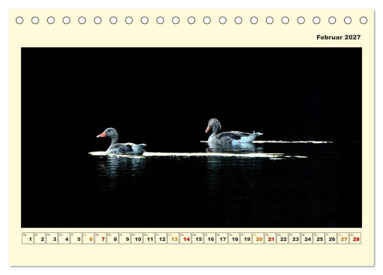 Produktbild: Tierwelt der W&uuml;mmeniederung (Tischkalender 2027 DIN A5 quer), CALVENDO Monatskalender