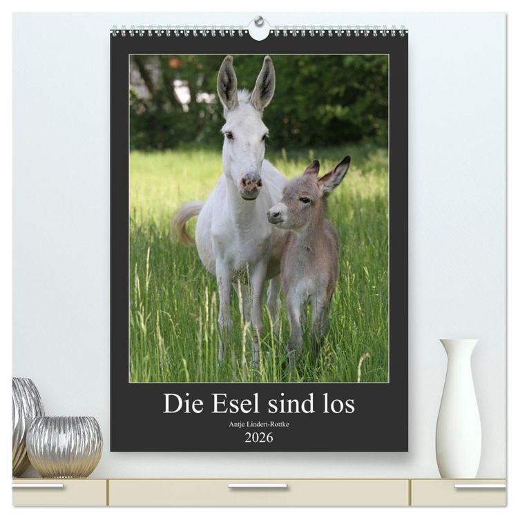 Produktbild: Die Esel sind los (hochwertiger Premium Wandkalender 2026 DIN A2 hoch), Kunstdruck in Hochglanz