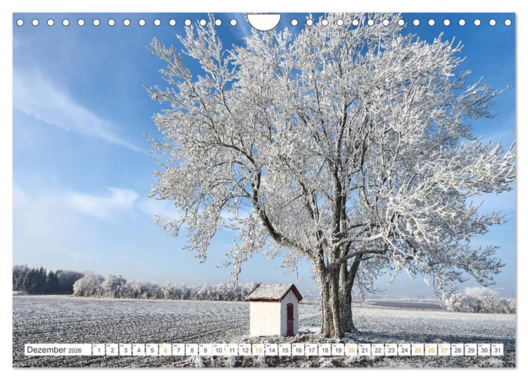 Produktbild: B&auml;ume im Altm&uuml;hltal (Wandkalender 2026 DIN A4 quer), CALVENDO Monatskalender