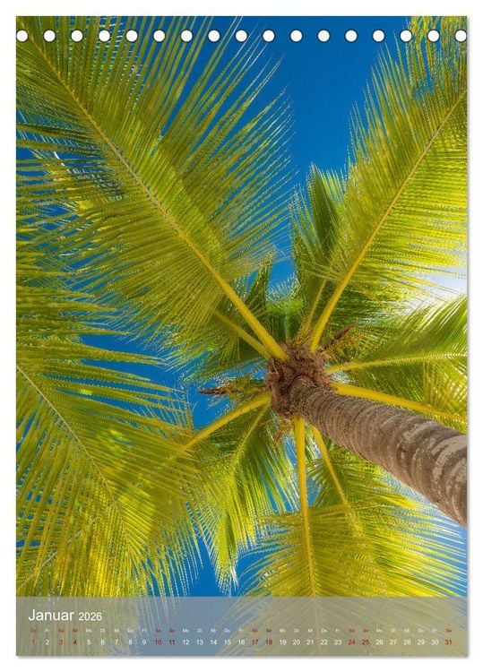 Produktbild: Karibischer Traum Isla Saona (Tischkalender 2026 DIN A5 hoch), CALVENDO Monatskalender