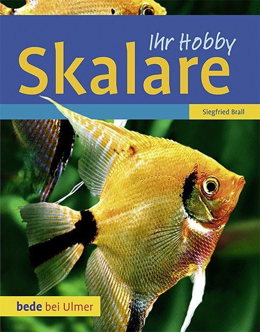 Produktbild: Skalare