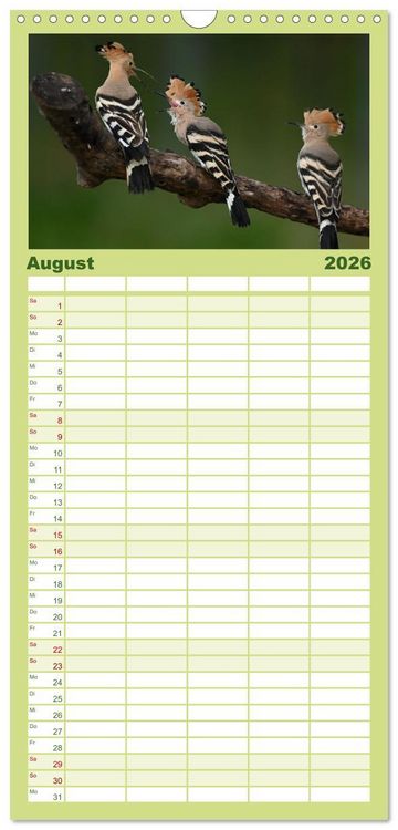 Produktbild: Familienplaner 2026 - Der Wiedehopf mit 5 Spalten (Wandkalender, 21 x 45 cm) CALVENDO