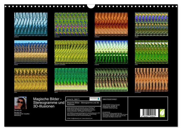 Produktbild: Magische Bilder - Stereogramme und 3D-Illusionen (Wandkalender 2026 DIN A3 quer), CALVENDO Monatskalender