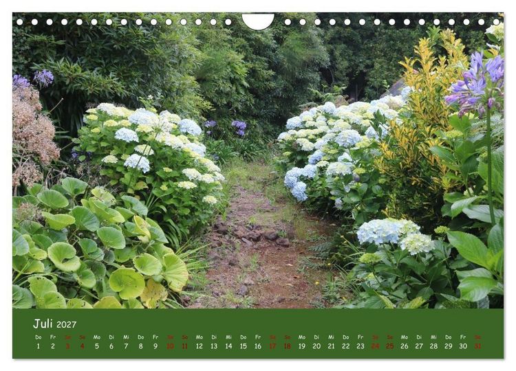 Produktbild: Levadawandern auf Madeira (Wandkalender 2027 DIN A4 quer), CALVENDO Monatskalender
