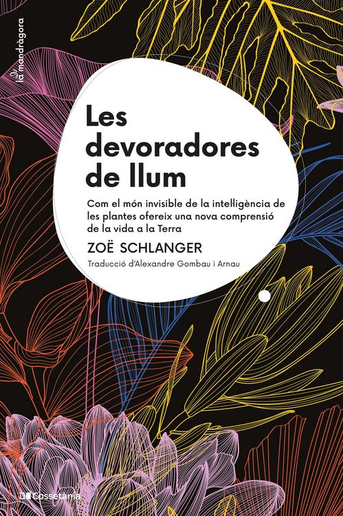 Produktbild: Les devoradores de llum