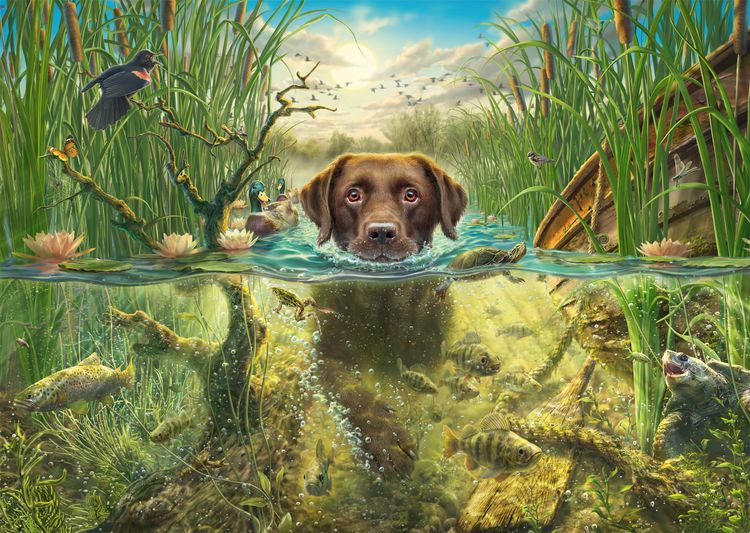 Produktbild: Brauner Labrador im k&uuml;hlen Nass