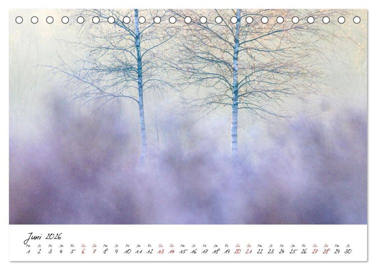 Produktbild: Im Atem der B&auml;ume (Tischkalender 2026 DIN A5 quer), CALVENDO Monatskalender