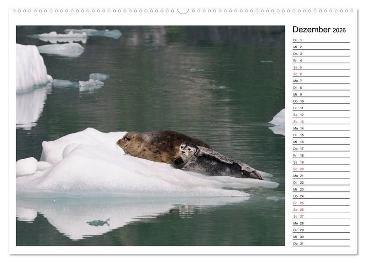 Produktbild: Alaskas Tierwelt - Paradies im Norden (Wandkalender 2026 DIN A2 quer), CALVENDO Monatskalender