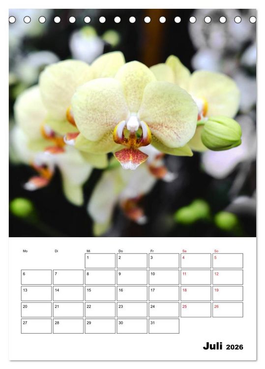 Produktbild: Orchideen - Tropische Sch&ouml;nheiten (Tischkalender 2026 DIN A5 hoch), CALVENDO Monatskalender