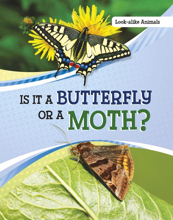 Produktbild: Is It a Butterfly or a Moth?
